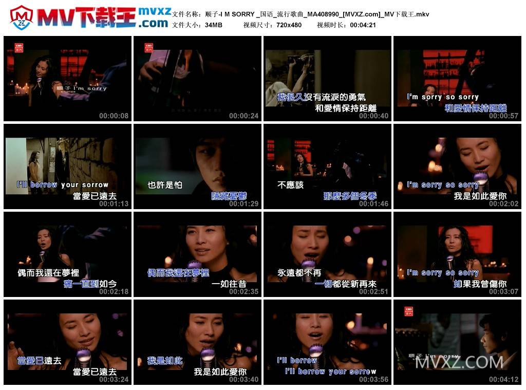 顺子-I M SORRY _国语_流行歌曲_MA408990